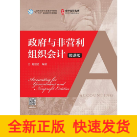 政府与非营利组织会计(微课版)/赵建勇