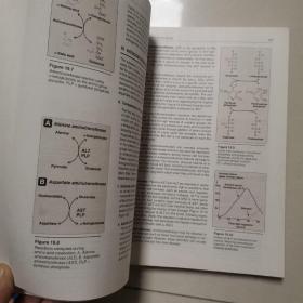 Lippincott Illustrated Reviews: Biochemistry生物化学，第7版，英文原版