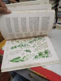 The Iiiustrated Book of Wild flowers