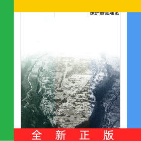 中國建筑遺產(chǎn)保護(hù)基礎(chǔ)理論/高校建筑類專業(yè)參考書系