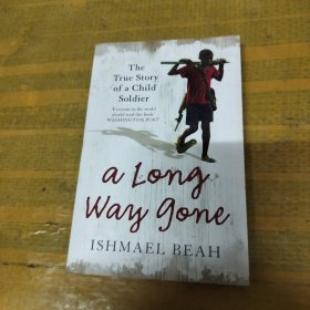 A Long Way Gone : Memoirs of a Boy Soldier[长路漫漫：童兵的回忆]