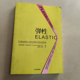 弹性：在极速变化的世界中灵活思考【原版 没勾画