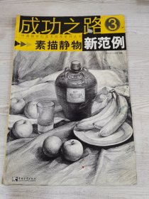 成功之路：素描静物新范例3