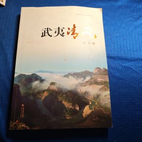 武夷清风