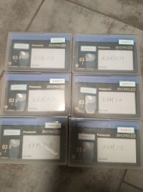 全网绝版动画片木头村录像带，稀缺录像带，绝版DVCPRO录像带，高品质dv母带，电视台录像带，品质看图，1-26集。共6盘。