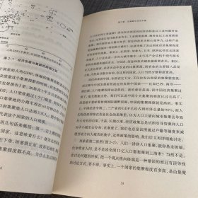 大国大城：当代中国的统一、发展与平衡