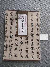 历代碑帖精粹·隋 智永真草千字文