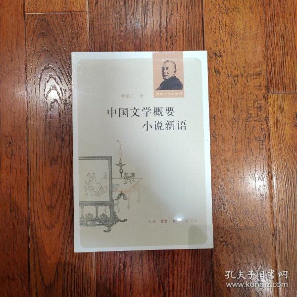 中国文学概要 小说新语