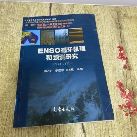 NESO循环机理和预测研究