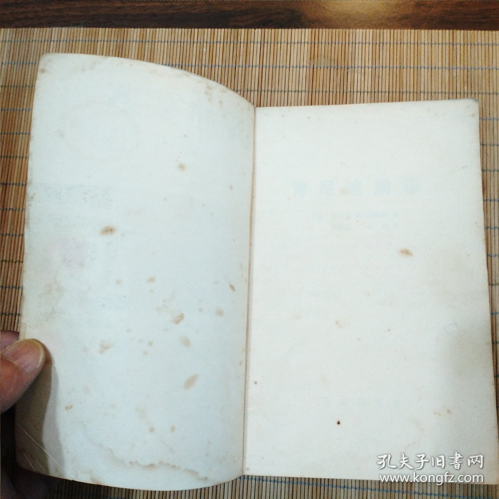 肯尼迪案卷