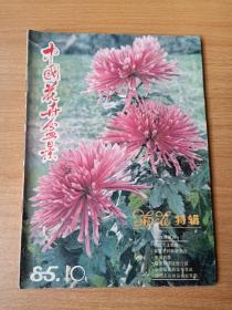 中国花卉盆景1985.10