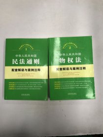 配套解读与案例注释系列：2本合售