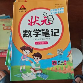 2022春状元数学笔记六年级下册人教部编版配套课本的课堂笔记