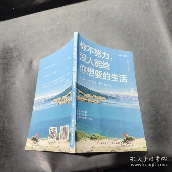 全10册励志书籍你不努力谁也给不了你想要的生活没伞的孩子必须努力奔跑青春文学励志书受益一生的十本书