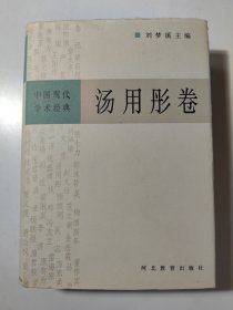 汤用彤卷（中国现代学术经典）