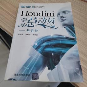 Houdini学习总动员：基础卷（无盘）