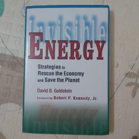 Invisible Energy: Strategies to Rescue the Economy and Save the Planet《不可见的能源: 挽救经济和拯救地球的策略》 ，平装，16开，224页，Bay Tree出版