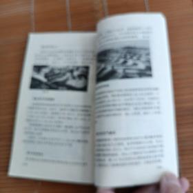 80年代世界之最
