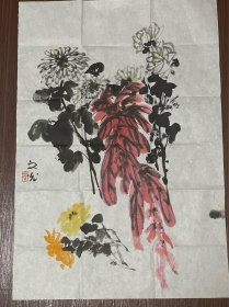 花卉菊花老画