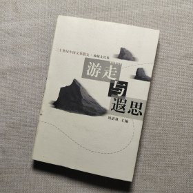 游走与遐思：二十世纪中国文化散文·地域文化卷
