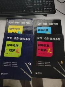 巧解、妙解、化繁为简，初中代数一题多解，初中代数一题多变，初中几何一题多解，初中几何一题多变 【4册合售 只有书 无附件】