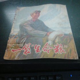 一袋生命粮（没后皮）