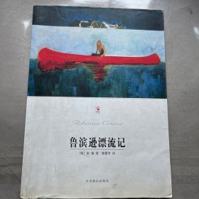 鲁滨逊漂流记