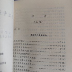 中文专业基础课图表（上下两册）
