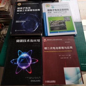 锂离子电池正极材料：原理、性能与生产工艺 + 锂离子电池制造工艺原理与应用 杨绍斌 著 +锂二次电池原理与应用 韩]朴正基（Jung-Ki Park） + 储能技术及应用 4本合售