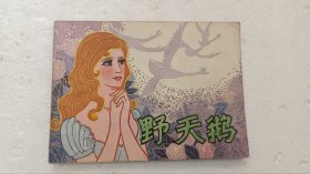 野天鹅 绘画故事连环画