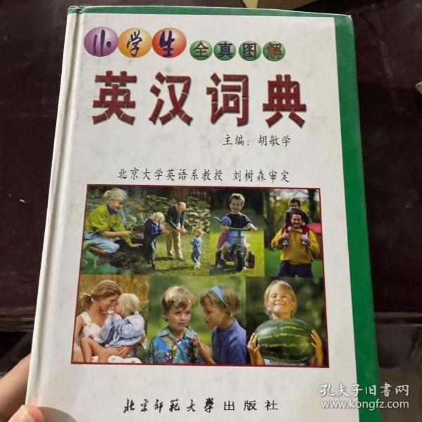 小学生全真图解：英汉词典