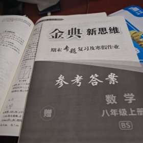 金典新思维期末专题复习及寒假作业数学八年级上册BS赠答案
