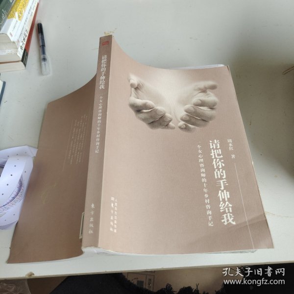 请把你的手伸给我：一个女心理咨询师的十年乡村咨询手记