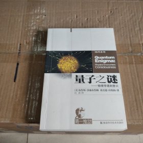 量子之谜：物理学遇到的意识