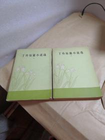 丁玲短篇小说选 上下