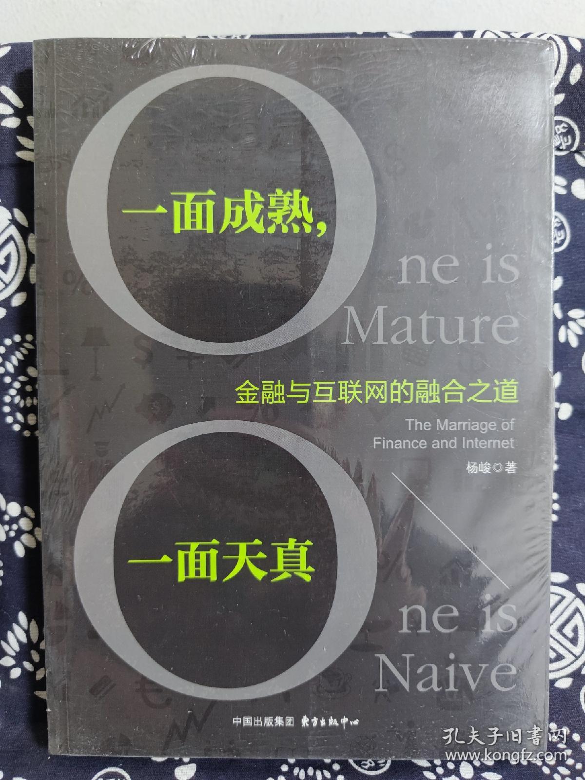 一面成熟，一面天真——金融与互联网的融合之道