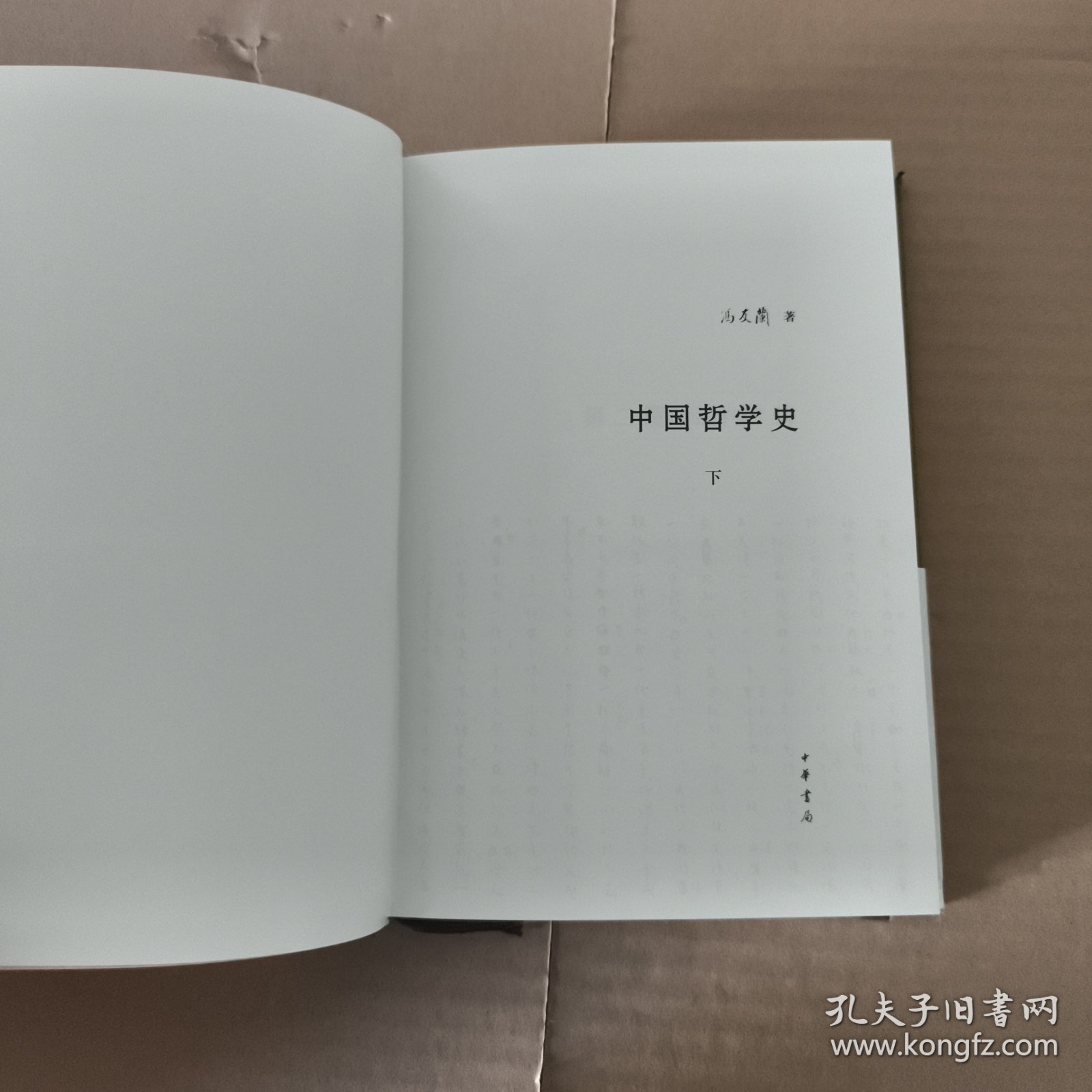 中国哲学史（下册）