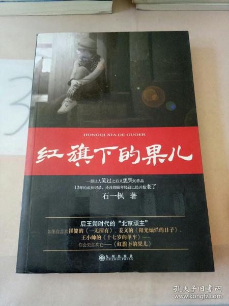 红旗下的果儿：后王朔时代的“北京顽主”讲述80后的青春记忆