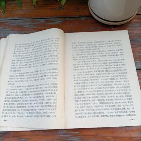 廿一史战略考