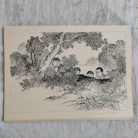 《小英雄雨来》连环画原稿八帧