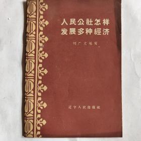 人民公社怎样发展多种经济