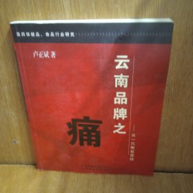 云南品牌之痛——另一只眼看營(yíng)銷:醫(yī)藥保健品、食品行業(yè)研究 里面有劃痕