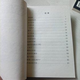 神勇小虎队:第十集足球案、第十二集斩断魔爪（无解码器）