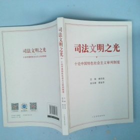 司法文明之光（十论中国特色社会主义审判制度）