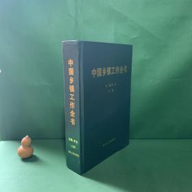 中国乡镇工作全书 上册