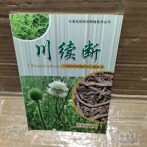 云南名特药材种植技术丛书：川续断