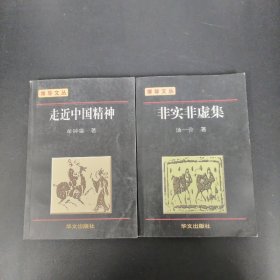 博导文丛：走近中国精神、非实非虚集  2本合售