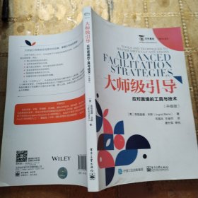 大师级引导：应对困境的工具与技术（升级版）