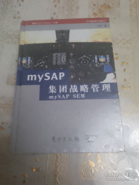 mySAP集团战略管理