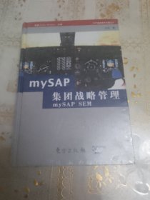 mySAP集团战略管理